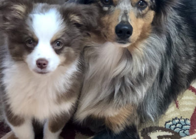 Picture of Oakley and Woody