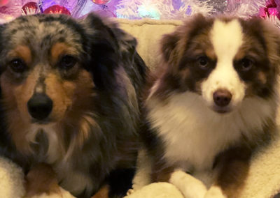 Picture of Oakley and Woody